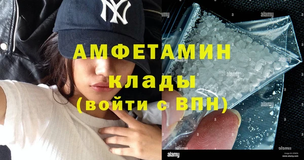 твердый Пересвет