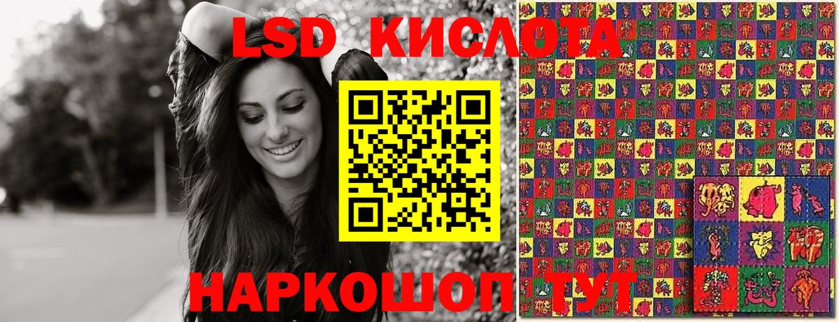 Наркотические марки 1,5мг  Наркотические марки 1,5мг  Курчалой  Вход с VPN 