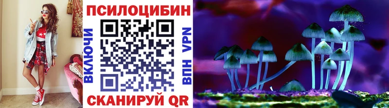 Галлюциногенные грибы Cubensis  что такое наркотик  Курчалой 