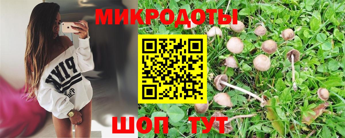 Псилоцибиновые грибы MAGIC MUSHROOMS  Вход с VPN  Галлюциногенные грибы Magic Shrooms  Курчалой 